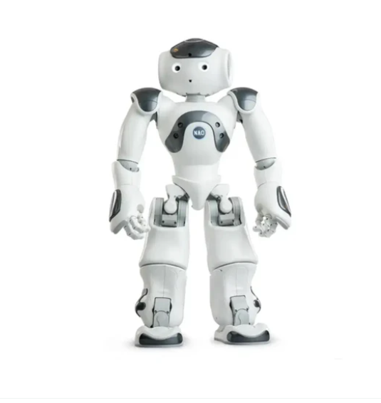 ZoraBots Nao V6 with Zora Solution