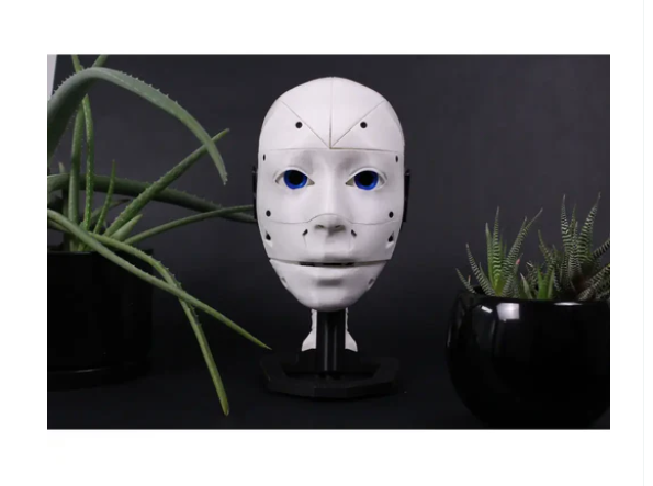 EZ-InMoov High Performance Robot Head Kit